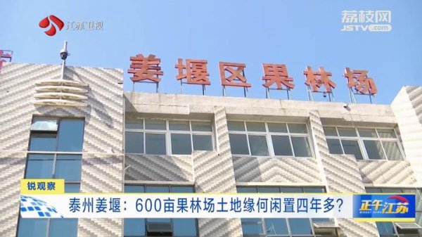 爱配投资 锐观察丨泰州姜堰：600亩果林场土地缘何闲置四年多？