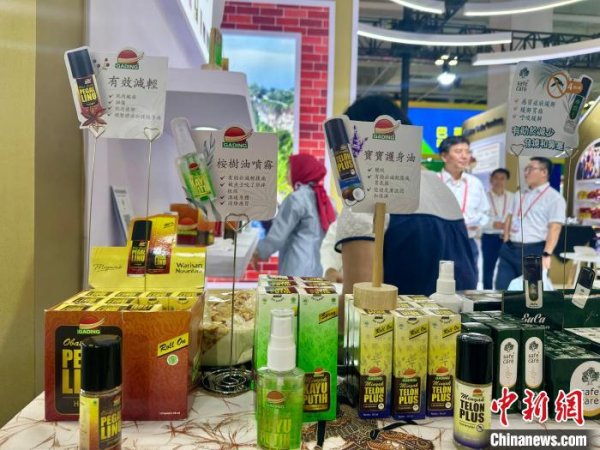 亚投金融 甘肃与东盟合作热度攀升 多领域互动迈向纵深