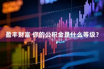 盈丰财富 你的公积金是什么等级？