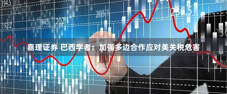 嘉理证券 巴西学者：加强多边合作应对美关税危害