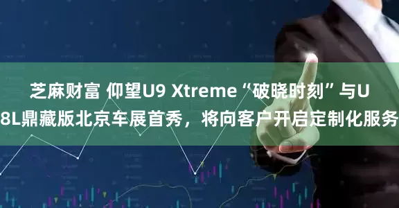 芝麻财富 仰望U9 Xtreme“破晓时刻”与U8L鼎藏版北京车展首秀，将向客户开启定制化服务