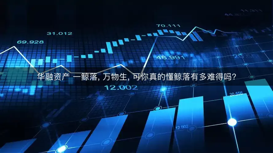 华融资产 一鲸落, 万物生, 可你真的懂鲸落有多难得吗?