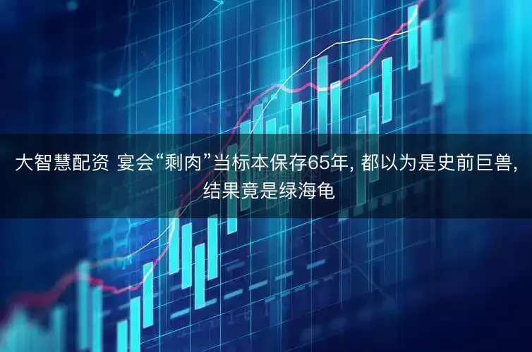 大智慧配资 宴会“剩肉”当标本保存65年, 都以为是史前巨兽, 结果竟是绿海龟